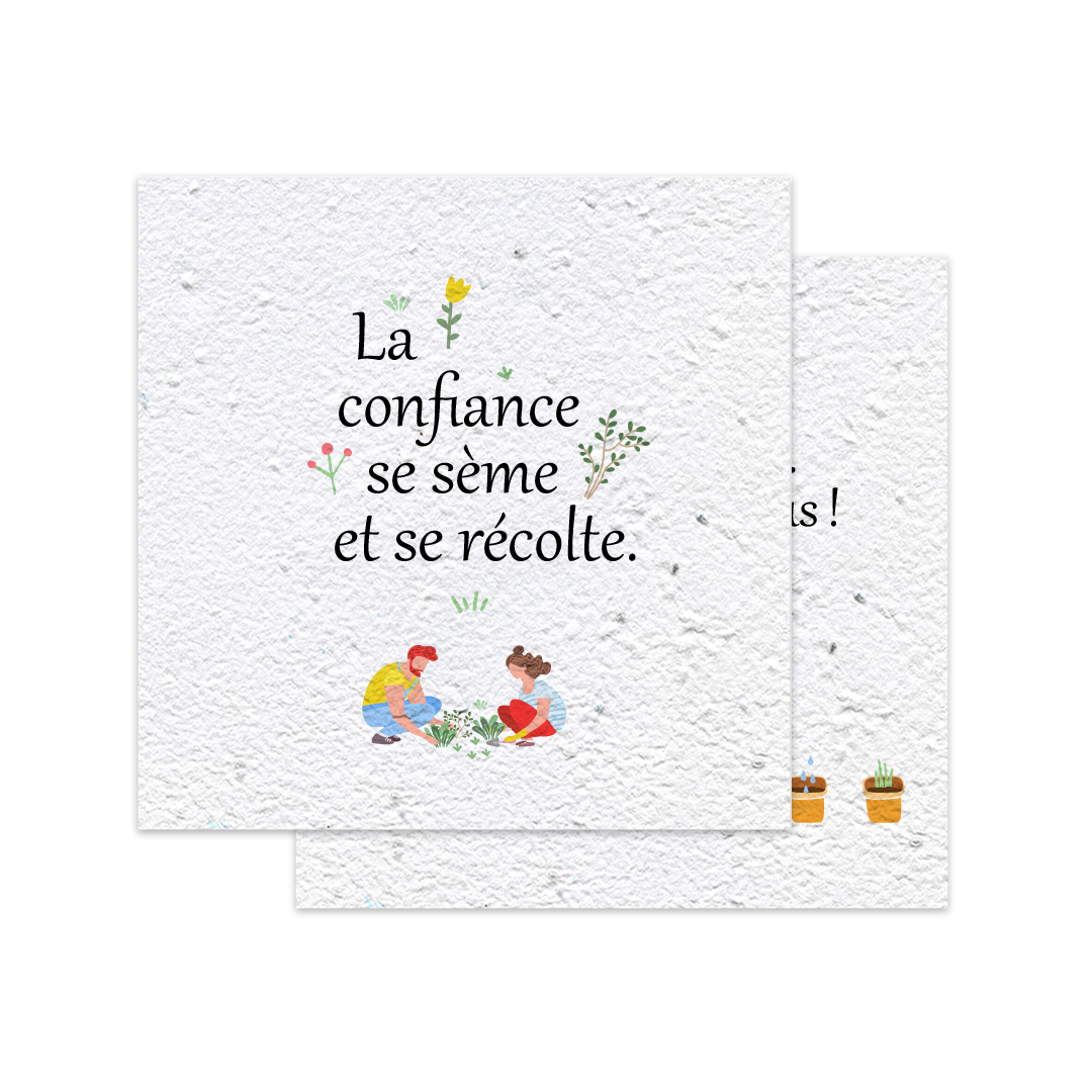 carte à planter carrée herbes aromatiques