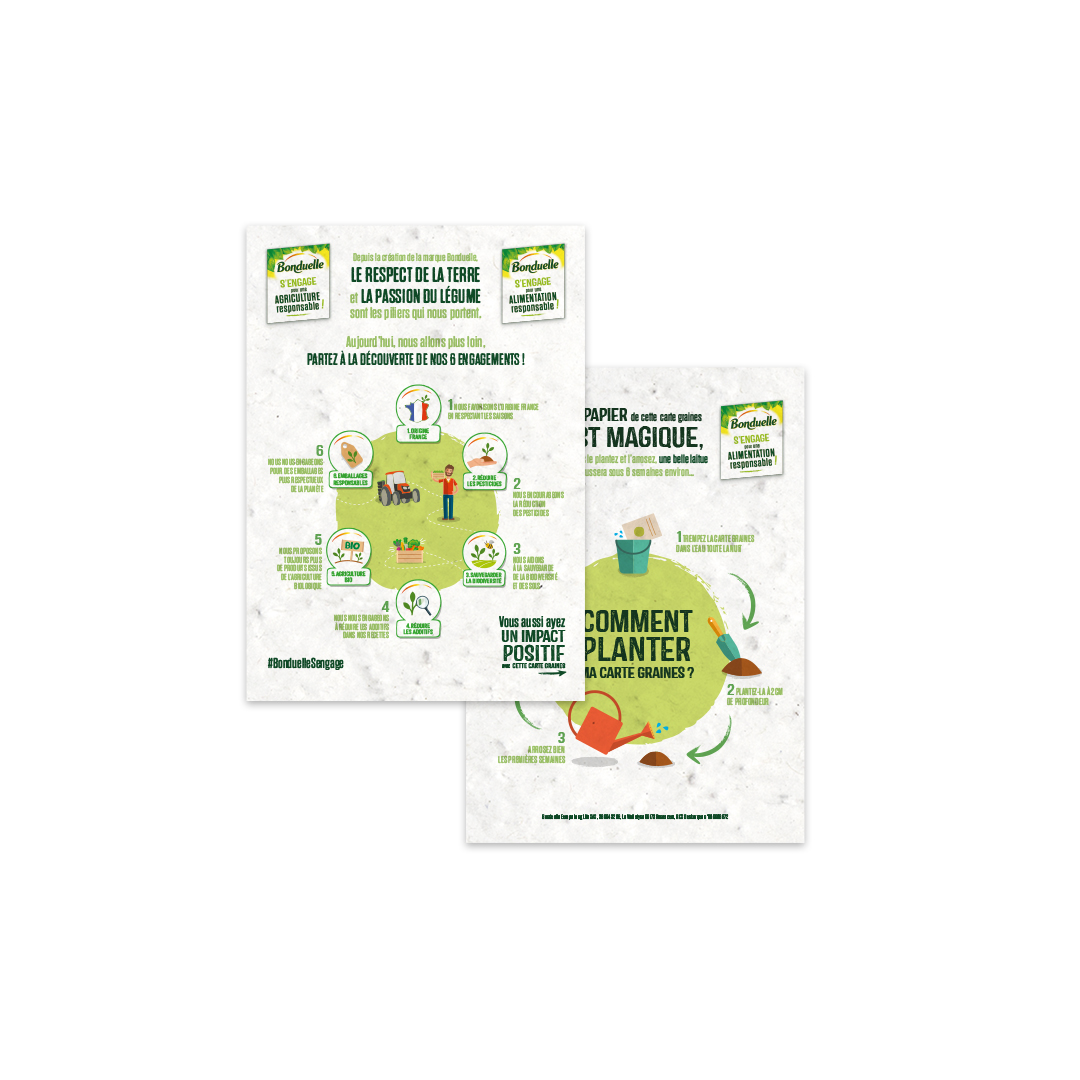 flyer à planter plume 100g