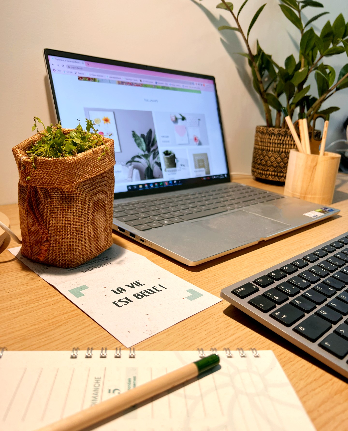 Végétaliser son espace de travail
