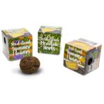 bombe graines -seed bombs